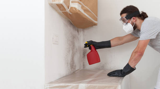 Professional Bathroom Mold Removal technician working in Frederick, CO